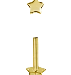 WARG - Labrett (GULD 18K) - Stjärnformad baksida
