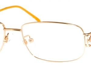 Ferré GF24902